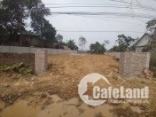 Trục chính Khoang Xanh, diện tích 450m2, thổ cư 100m2, mặt rộng 12m