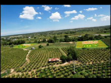 Khách ở chợ lầu Huyện Bắc Bình Bình Thuận kẹt tiền cần bán lô đất giá đầu tư