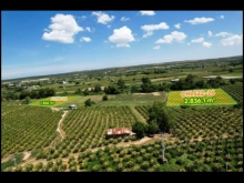 Khách ở chợ lầu Huyện Bắc Bình Bình Thuận kẹt tiền cần bán lô đất giá đầu tư