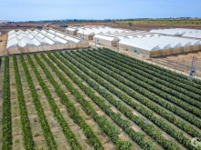 SỔ ĐẸP - ĐẤT SẠCH - CẦN RA NHANH