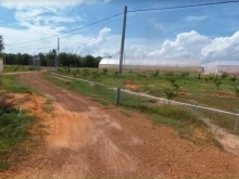 Bán lô đất 8026m2 xã Bình Tân, cách đường liên huyện 70m