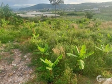 Bán đất bao đẹp giá 1tỷ5/sào có diện tích là 9sào6 có sổ sách đấy đủ