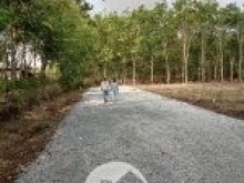 Mở bán 20 lô đất sổ sẵn vị trí đẹp tại Bình Long