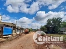 Đất sào có lô cao su cách đường nhựa chỉ 70m