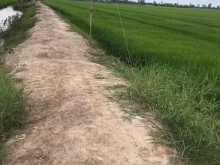 Gần 9 công đất đẹp 2 mặt tiền cách lộ 910 200m 