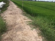 Gần 9 công đất đẹp 2 mặt tiền cách lộ 910 200m 