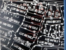 Đất lúa gần 4.000m2 Bình Thanh  cần bán đầu gấp