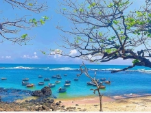 Có 1 số lô biệt thự biển châu tân bình châu . 2 sào  giá ưu đãi