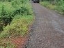 Bán đất Bù Đăng Bình Phước giá mềm