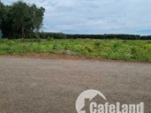 Bán đất 2 mặt tiền ĐT755, ngay THCS Nguyễn Văn Trỗi