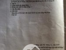 Bán 3,3 ha điều đang thu hoạch - giá 600tr/1 ha