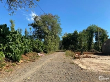 LỐC 5 LÔ F0 CƯSUÊ  THÔN 5 THÔNG THÔN 3 EABAR -BMT CHỈ CÒN 3 LÔ