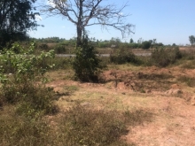 CHÍNH CHỦ BÁN LÔ ĐẤT RỘNG VỊ TRÍ ĐẸP TẠI XÃ EA HUAR, BUÔN ĐÔN, ĐĂK LĂK - GIÁ F0