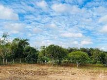 Diện tích mỗi lô 5x23 thổ cư 40 bìa riêng. ( Tổng 25x23 thổ cư 200 )