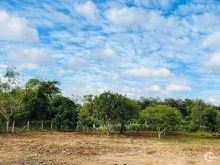 Diện tích mỗi lô 5x23 thổ cư 40 bìa riêng. ( Tổng 25x23 thổ cư 200 )