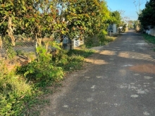 Chính chủ cần bán Eakao buôn tăng ju hẻm C1 đường thông lâm viên