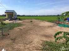 BÁN 03 NỀN ĐƯỜNG NHỰA XÃ MỸ TÂN   Diện tích đất:10m x 58m.