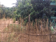 BÁN NỀN ĐƯỜNG DAL CÁI TÔM TP CAO LÃNH • Diện tích đất: 5m x 32m