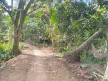 Cần bán gấp nền Thuột xã Mỹ Tân TPcl VT 9x32 m fill thổ giá 1ty200tr