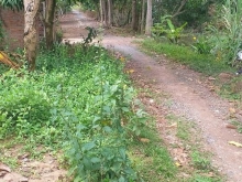 BÁN ĐẤT TẶNG NHÀ CẤP 4 GẦN CHỢ TÂN VIỆT HÒA, PHƯỜNG 6, TP. CAO LÃNH, ĐỒNG THÁP