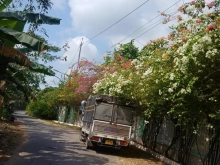 Bán nền đẹp đường Khai Long p6 tp Cao Lãnh Diện tích : 4.8×30m có 86m thổ