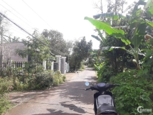 * Kích thước 5x48m, dt 240,8m2, (loại đất 100m thổ, 140,8m CLN)