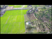 Cần Bán Mảnh Đất Vườn 5,2 Sào QH full Thổ Cư