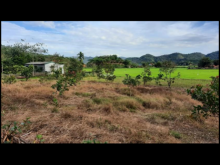 Lô đất vườn cần bán  đất bầng tiện ích