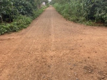 Cuor Đăng góc 2 mặt tiền cho nhà đầu tư Diện tích 12x21m