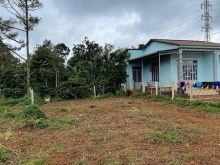 CUÔR ĐĂNG QUÁ HOT  Diện tích : 9,8 x 20 (Nở hậu 10,8m)