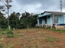 CUÔR ĐĂNG QUÁ HOT  Diện tích : 9,8 x 20 (Nở hậu 10,8m)