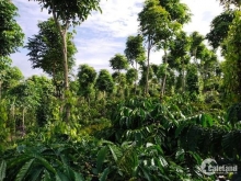 Hai lô đất view đồi cao đẹp, thế đất  bằng phẳng