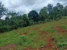 BÁN Đất tại Eadrơng hẻm cấp 1 cách KCN Phú Xuân chỉ 40m