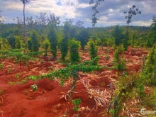 Cần Bán Đất Mặt Tiền View đẹp vị trí tiềm năng cao