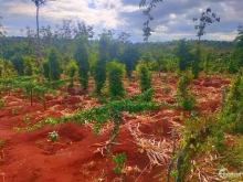 Cần Bán Đất Mặt Tiền View đẹp vị trí tiềm năng cao