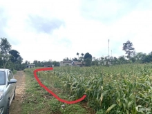 Mở bán 2 lô Cuor đăng giá siêu hạt giẻ cho các nhà đầu tư  Diện tích: 5*33