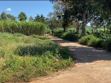 CẦN BÁN ĐẤT DT 9,3 x 27m ĐẤT GÓC 2 MẶT TIỀN Ở THÔN 2 CƯ SUÊ