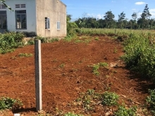 bán nhanh trước tết. Toạ lạc tại Cuôr Đăng giáp Đạt Lý