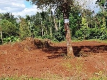 Bán đất mặt tiền đường nhựa nhà HHen, Cư Suê, Cư MGar