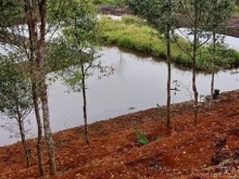 Chính chủ cần bán lô đất với diện tích 2,2ha có ao