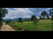 Bán lô đất Đạm Ri có diện tích 16×100m sau nở hậu 22m, DT 1697m giá 1,5ty