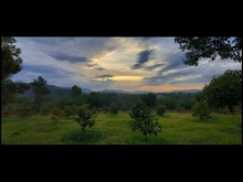 Bán lô đất có diện tích 17 ×113m  DT 1887m2 giá 1,75 ty