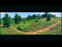 Lô đất vườn có diện tích rộng có giá 4ty giá yêu thương