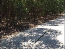 Bán lô đất nặt tiền có giá 59tr/m2 giá rẻ cực kì