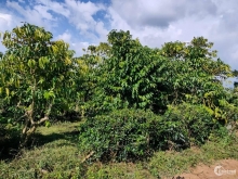 Chính chủ cần bán lô đất 10x50  trưa  tho cư.  400tr. cả  lô