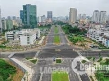 Cần bán 77m2 Đồng Ông - thị trấn Phùng - Đan Phượng - Hà Nội, giá: 49 triệu/m²