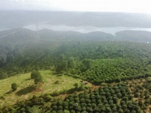 Chính chủ cần bán 2000m2 đất giá cực rẻ