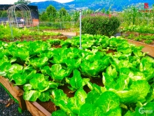 Bán đất nền gần khu du lịch Thác Voi giá chỉ từ 4.3 triệu. Gọi 0934114846