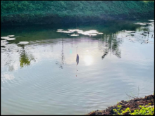 Lô đất cần bán có diện tích 21m x80m 100 thổ cư 2 mặt đường