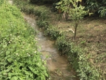 Lô đất chính chủ cần bán áo suối quang vườn